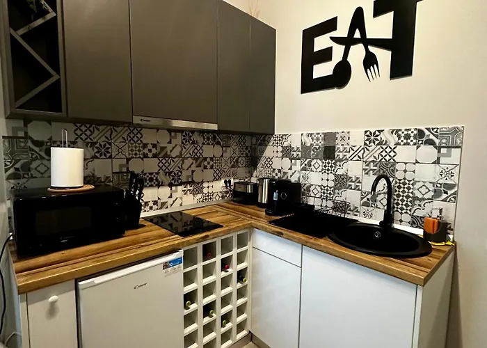 Stay Inn Central Brasov Studios Apartment *