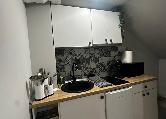 Stay Inn Central Brasov Studios